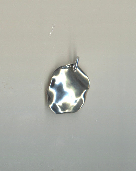 Portal Pendant