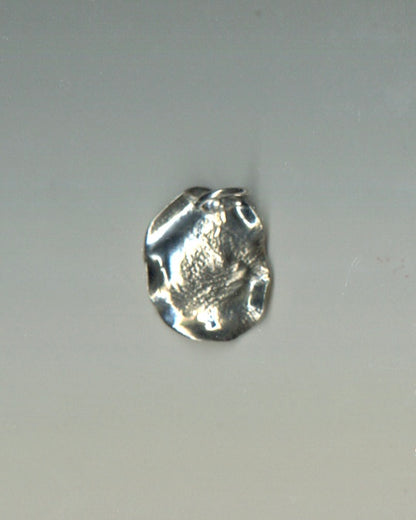 Portal Pendant